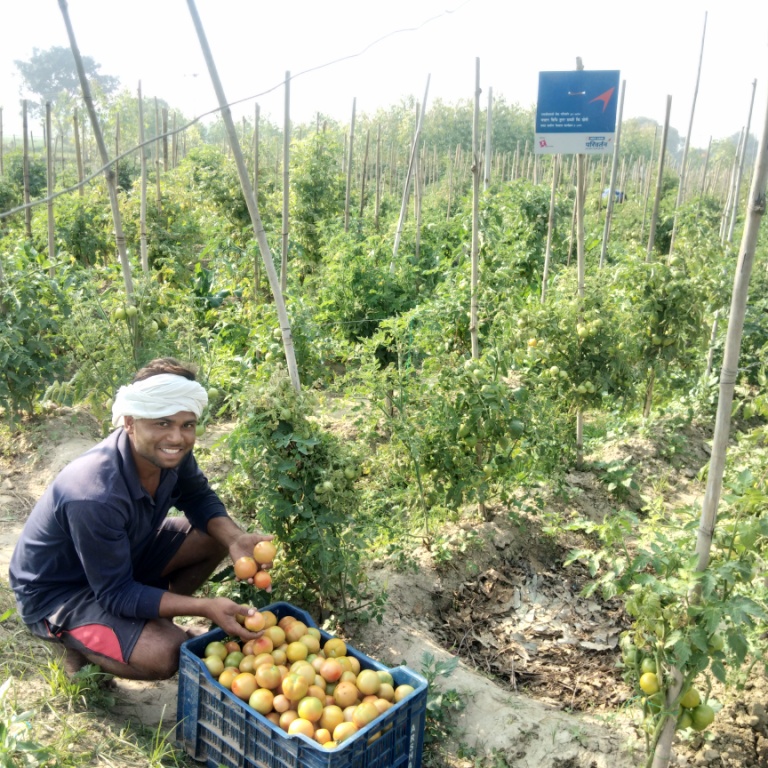 Happy Farmer